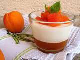 Panna Cotta amande-abricots