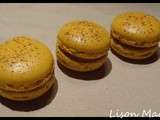 Macaron Spéculoos