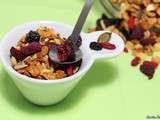 Granola protéiné maison aux fruits rouges et sans gluten