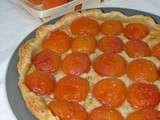 Tartes aux abricots du Valais