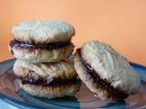 Case 18 : Biscuits à la noix de coco fourrés au chocolat