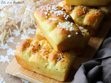 Brioche aux pépites de chocolat