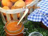 Confiture d’abricots a l’ancienne