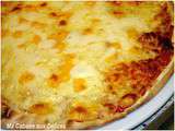 Pizza au fromage sur pain naan