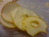 Chips de pommes