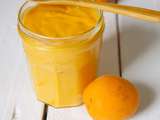 Curd aux abricots