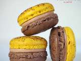 Macarons Choco Passion