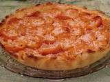 Tarte aux abricots et romarin sans gluten et sans lactose