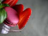 Macaron fraise basilic