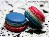 Macaron pomme cannelle Bleu-blanc-rouge