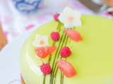 Midori - entremets matcha - framboises / pamplemousse