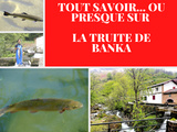 Tout savoir… ou presque sur La Truite de Banka