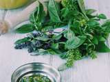 Comment faire du pesto de basilic