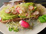 Tartines d’avocat