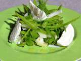 Salade de fenouil, pois gourmands et mozzarella bufala