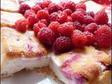 Gâteau au fromage blanc aux framboises