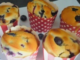 Muffins aux Myrtilles