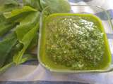 Pesto de fanes de radis au Thermomix