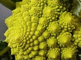 Cuisson du chou romanesco au cookéo