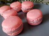 Macarons aux fruits rouges au companion