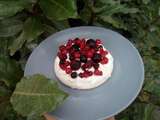 Pavlova aux fruits rouges (companion ou pas)