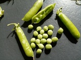 Récolte de petits pois et recettes