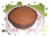 The gateau d’anniversaire facile à faire et qui fait sensation: tout chocolat