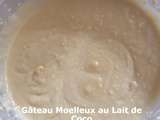 Gâteau Moelleux au Lait de Coco