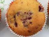 Muffins aux Nectarines