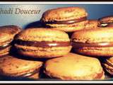 Macaron au chocolat amer