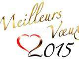 ☆   Miam   Vous souhaites une bonne année 2015 ☆