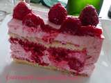 Entremets aux framboises bis