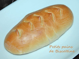 Petits pains de Biscottine