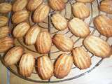 Madeleines dorées au miel d'acacia {alias les madeleines pour Kristen}