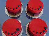 Entremets individuels velour chocolat-fraise