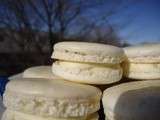 Macarons au chocolat blanc et érable