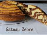 GÂTEAU ZÉBRÉ :vanille et chocolat recette avec photos