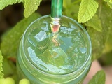 Gelée de menthe fraîche