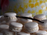 Macarons vanille