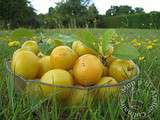 Mini Tartelettes amandine aux Mirabelles