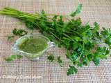 Pesto de persil plat (Parsley pesto)