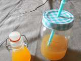 Sirop de pêches maison (Home made peach syrup)