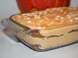 Nan's Cooking - Tiramisu Orange/Potiron