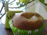 Muffins Sucré à la courgette