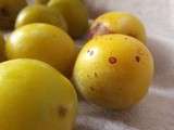 Tartelettes aux mirabelles