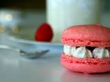 Macaron chantilly & framboise