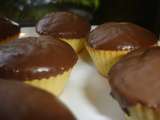 Mini-biscuits au chocolat au lait