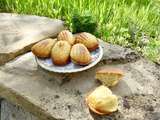 Madeleines