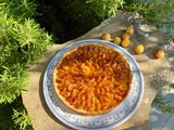 Tarte aux mirabelles