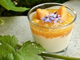 Verrine fromage blanc et abricot